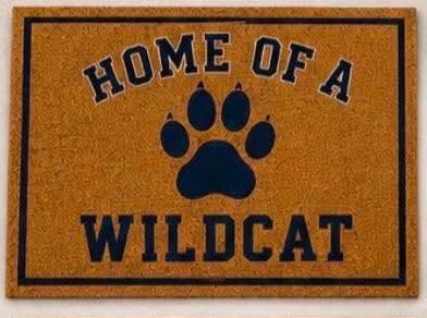 Rains Door Mat