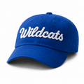 Blue Wildcat Cap